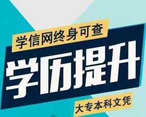 健康行业新赛道 四大热门职业赋能未来生活
